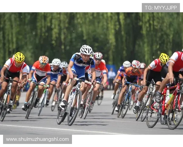 华体会hth首页便捷访问多样体育项目投注渠道体验精彩赛事