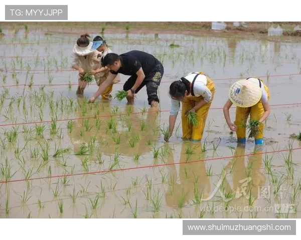 华体会电脑版官网最新版本下载，支持多设备同步操作与账户管理