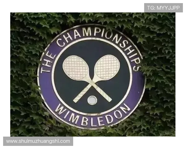 华体会体育网站赞助皇马的合作模式及其在体育营销中的创新实践分析