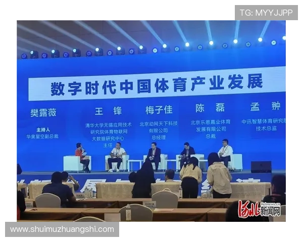 华登体育有限公司在体育产业数字化转型中的核心优势与行业地位